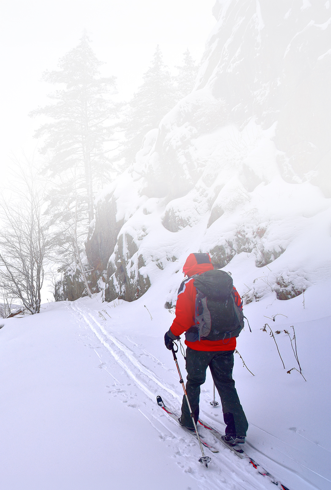 Photo: Person skiing in a wintery scene