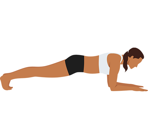 planks guide