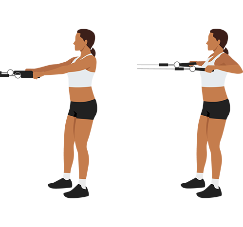 rows guide