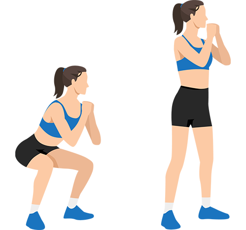 squats guide